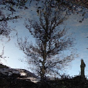 Reflejo del Agua